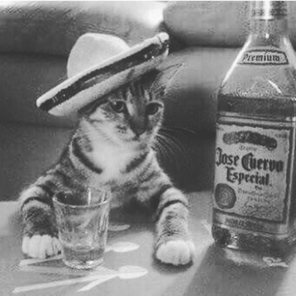 🌮🍹Happy 5 de Mayo!🍹🌮